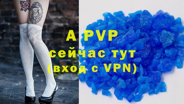 спиды Алексеевка