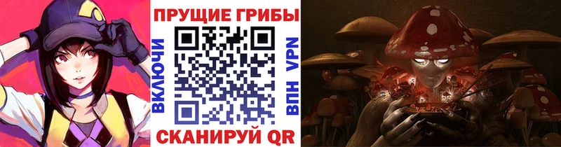 Псилоцибиновые грибы Psilocybine cubensis купить сайты Шахты
